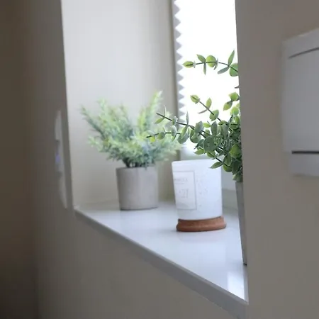 Apartment Rheinmosel Wellness 11 *